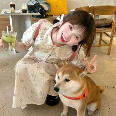 脱欧小电影
